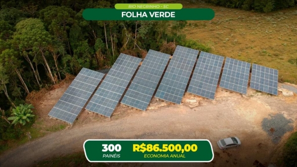 Folha Verde